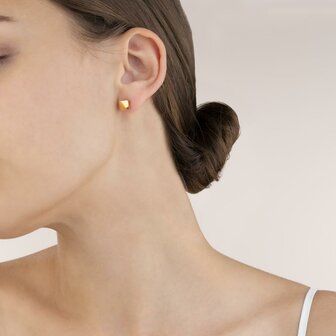 Coeur de Lion Oorbellen 0400/ /1600 Goud