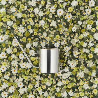 Stelton RVS gieter Classic Original 1,7 L