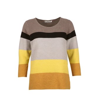 Mansted kleding Boica trui grijs geel