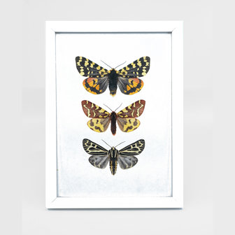 Liljebergs Fotolijst wit met fotoprint vlinders oranje 15x21 cm