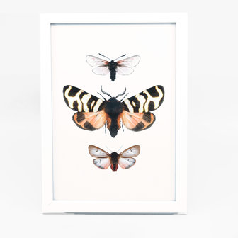 Liljebergs Fotolijst wit met fotoprint vlinders roze/zwart 15x21 cm