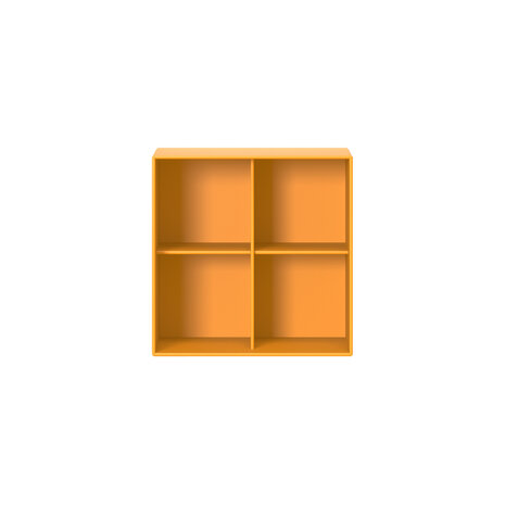 Montana kasten systeem Show