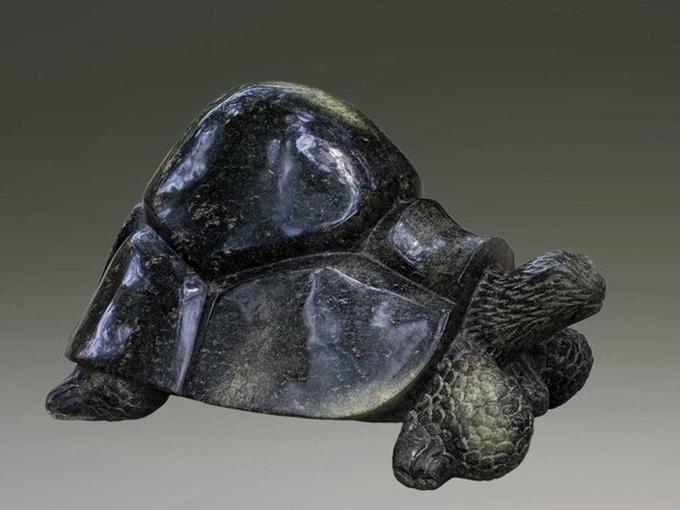Stenen tuinbeeld schildpad bij de vijver in de tuin. Tuin dier stenen kunst in de tuin. Groen schildpad voor in de tuin