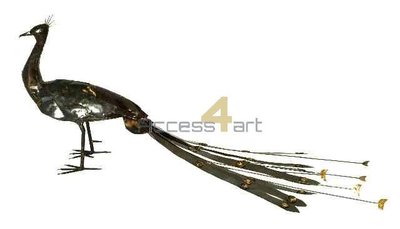 Metalen pauw, metalen vogel | Birdwoods