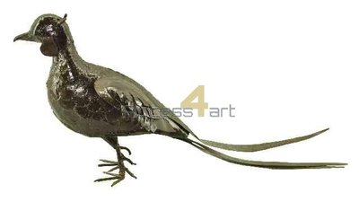 Metalen fazant, metalen vogel mannetje| Birdwoods