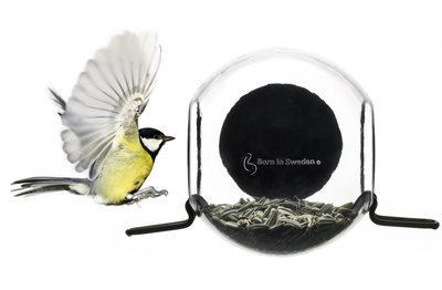 Bird Feeder Born in Sweden voederbol raam