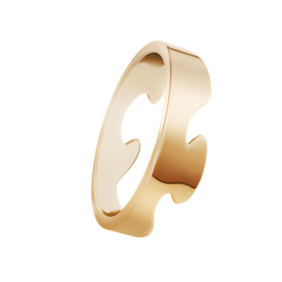 Fusion Ring Goud