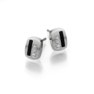 TeNo oorbellen 034.80P09.D34 TeNo oorbellen 034.80P09.D34