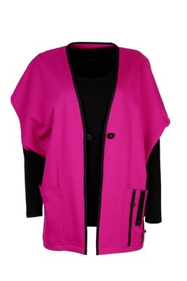 Geesje Sturre hes fuchsia M 146959