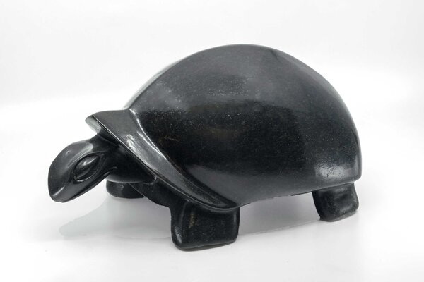 Stenen beeld uniek dier, Turtle, schildpad, Bigson Chintema
